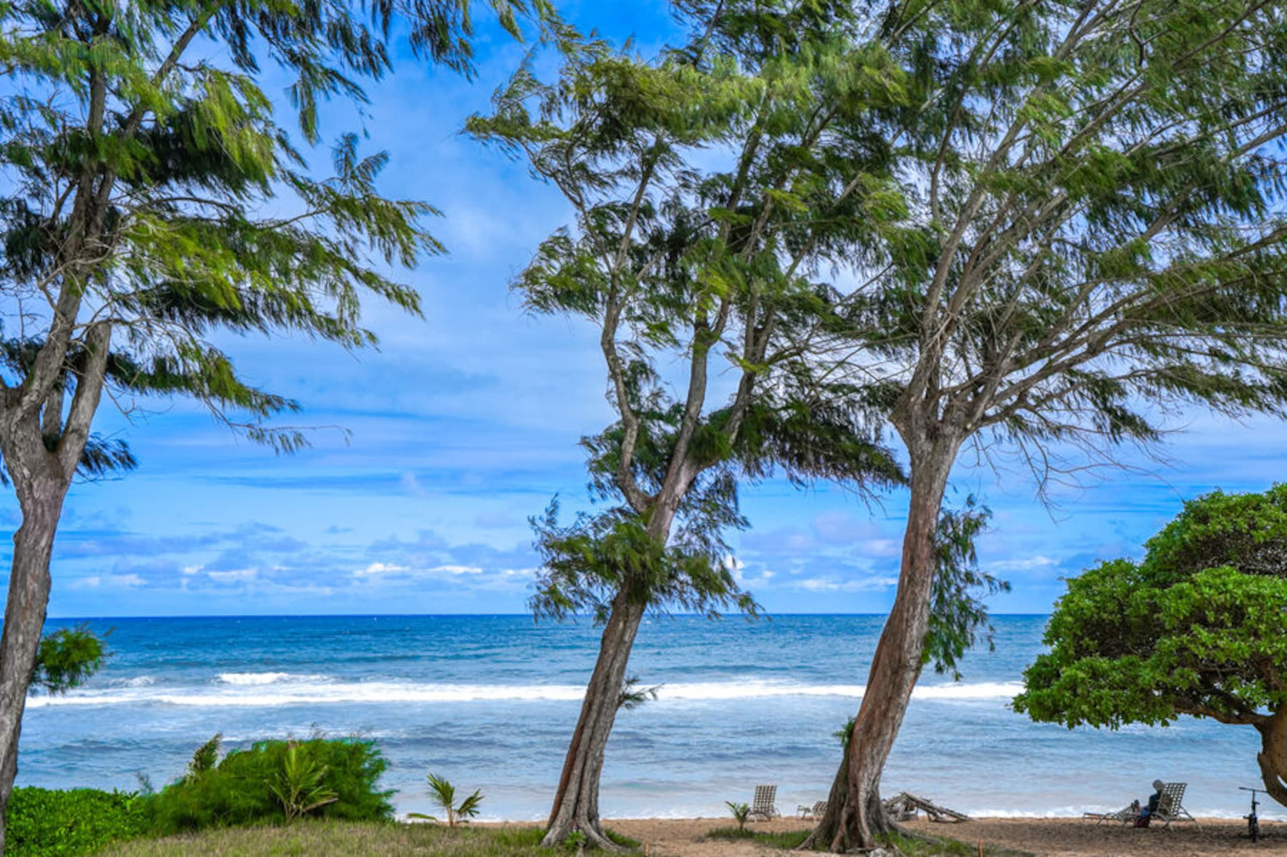 Condo in Kapaa · ★4.45 · Studio · 2 beds · 1 bath - Image 15