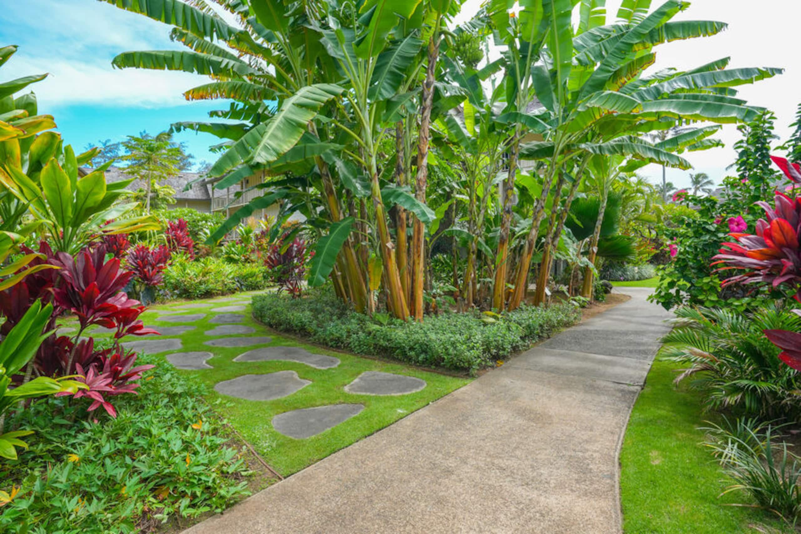 Condo in Kapaa · ★4.45 · Studio · 2 beds · 1 bath - Image 33