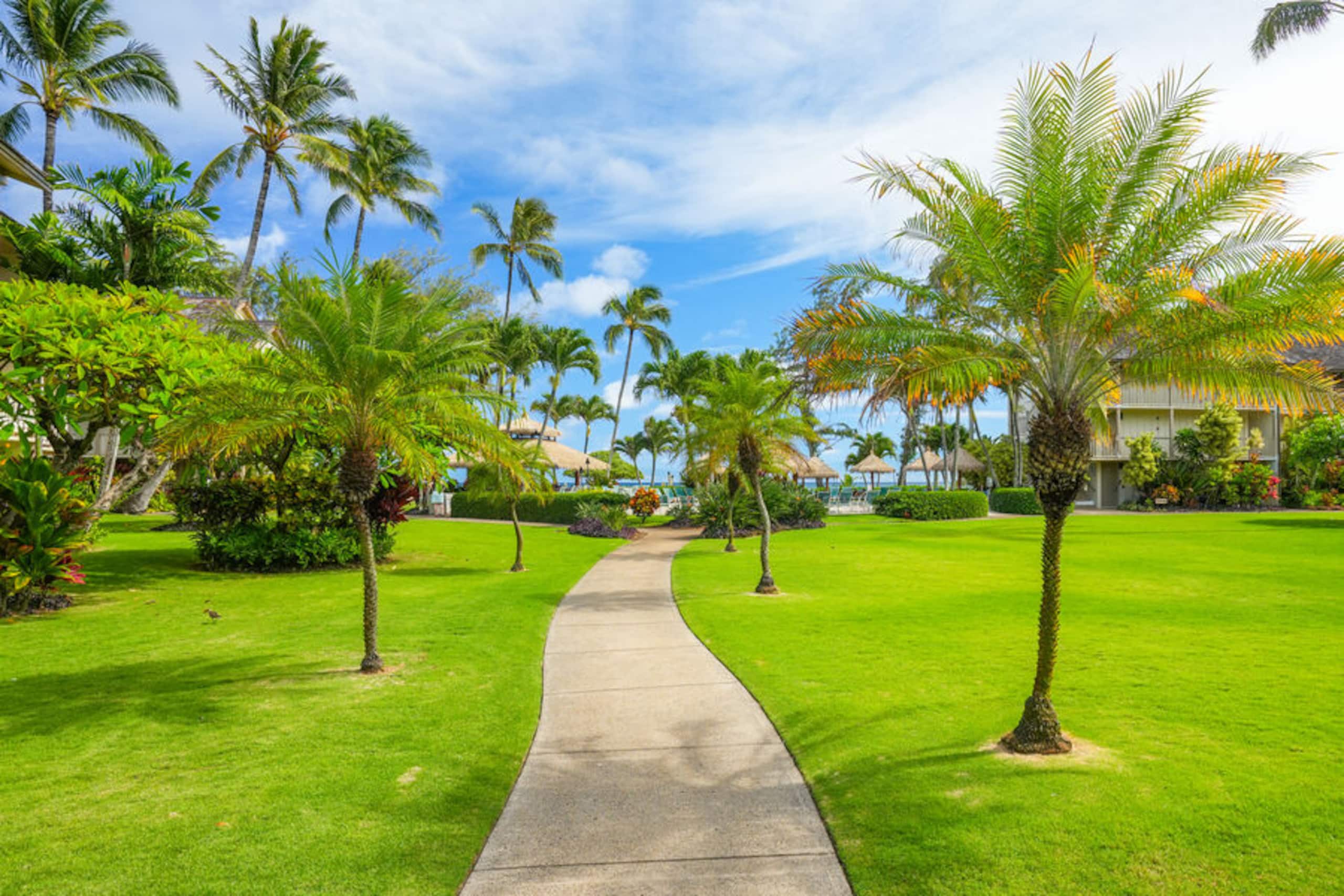 Condo in Kapaa · ★4.45 · Studio · 2 beds · 1 bath - Image 40