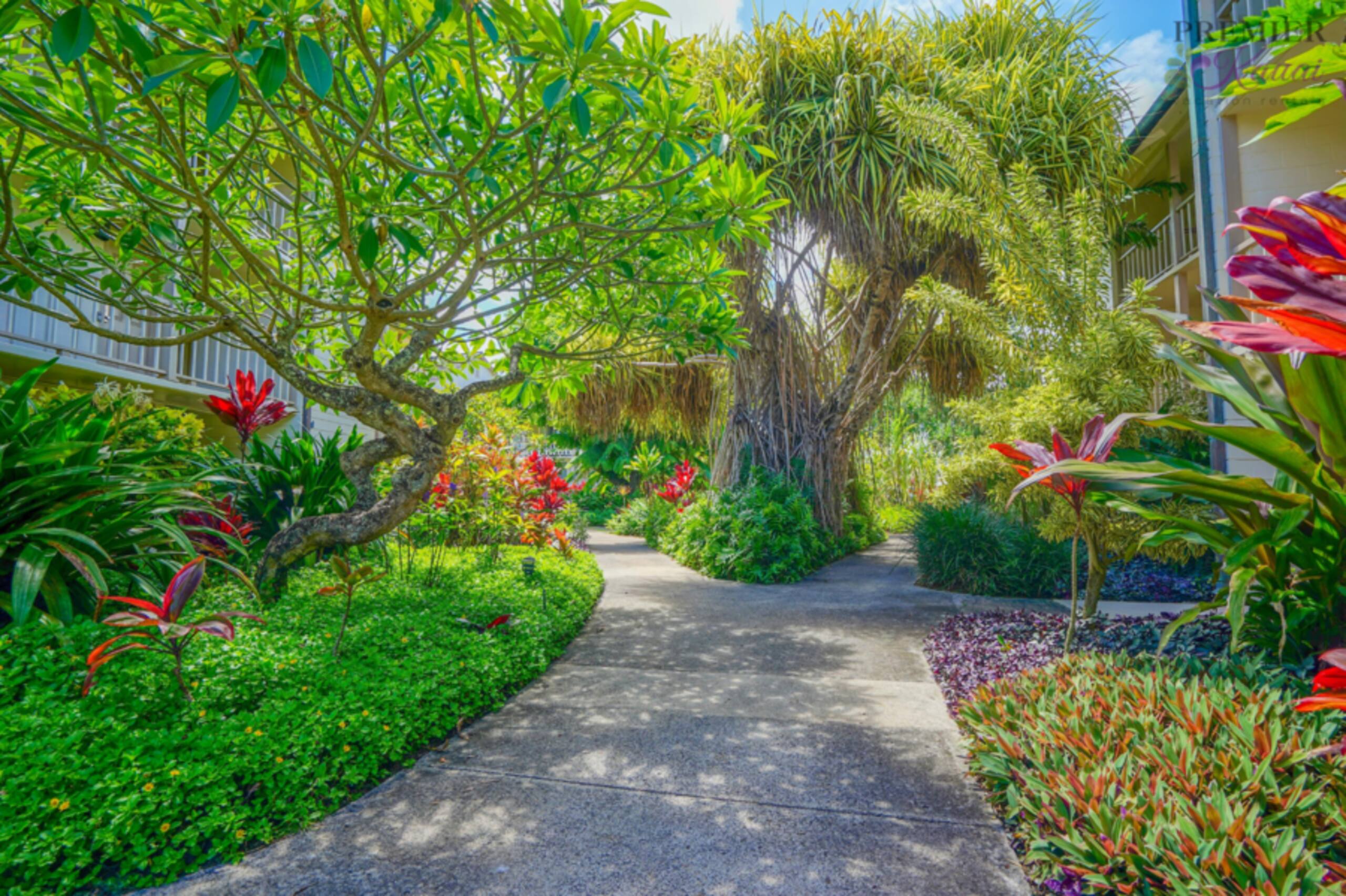 Drift Away, Oceanview Studio - Photo 28