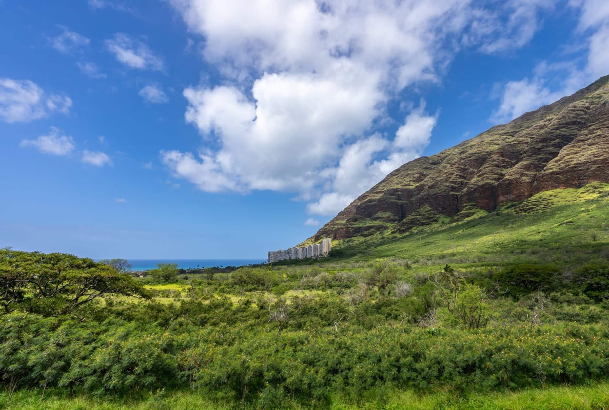 Home in Waianae · ★4.86 · 3 bedrooms · 5 beds · 2 private baths - Image 52