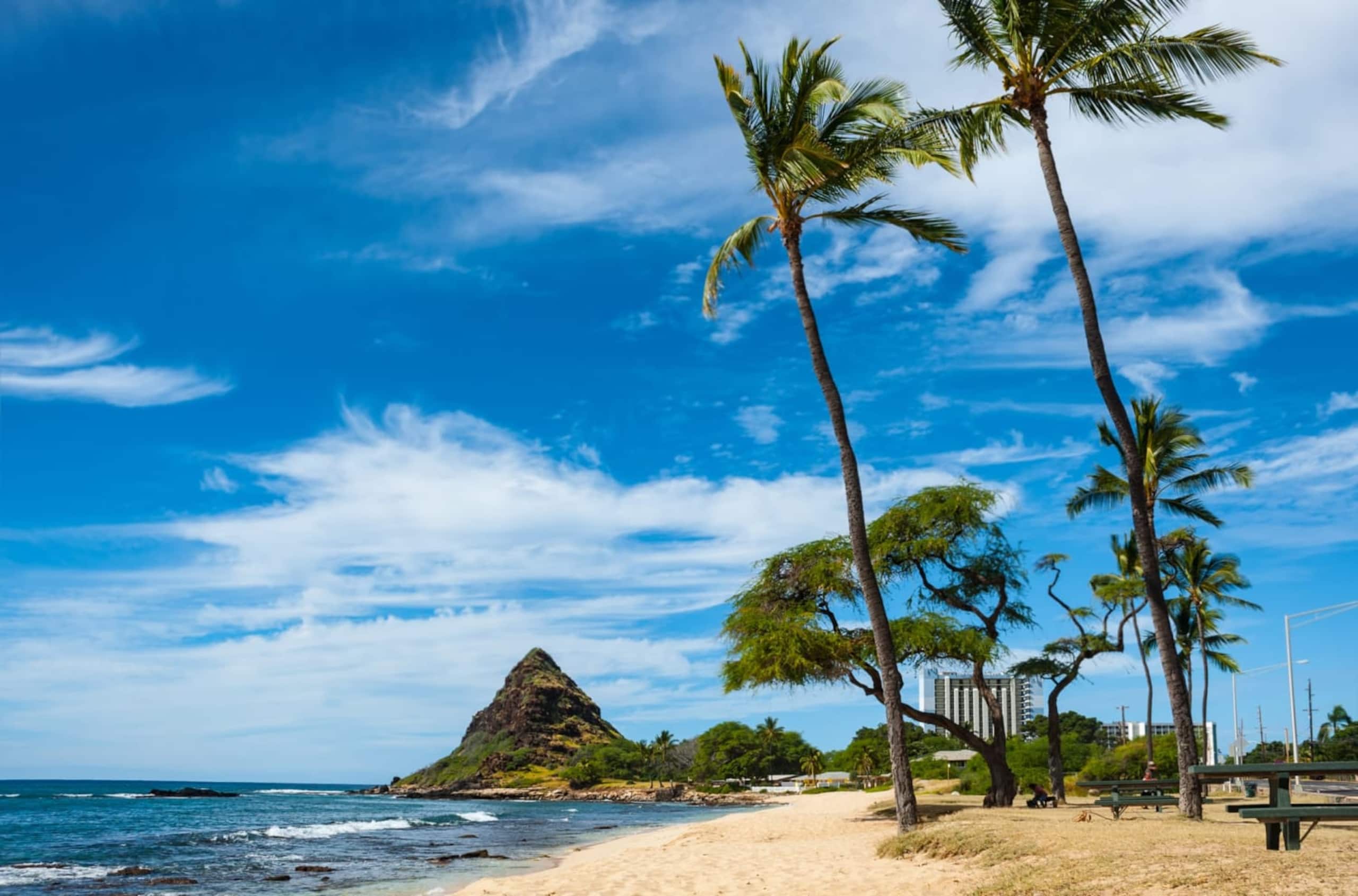 Home in Waianae · ★4.86 · 3 bedrooms · 5 beds · 2 private baths - Image 72