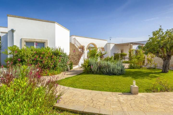 Il Vigneto – Il Noce 2+3 gallery image 5