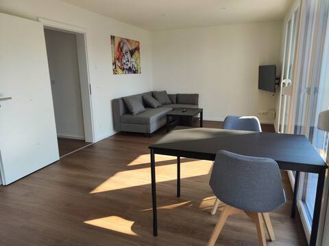 Two bedroom apartment with sofa bed