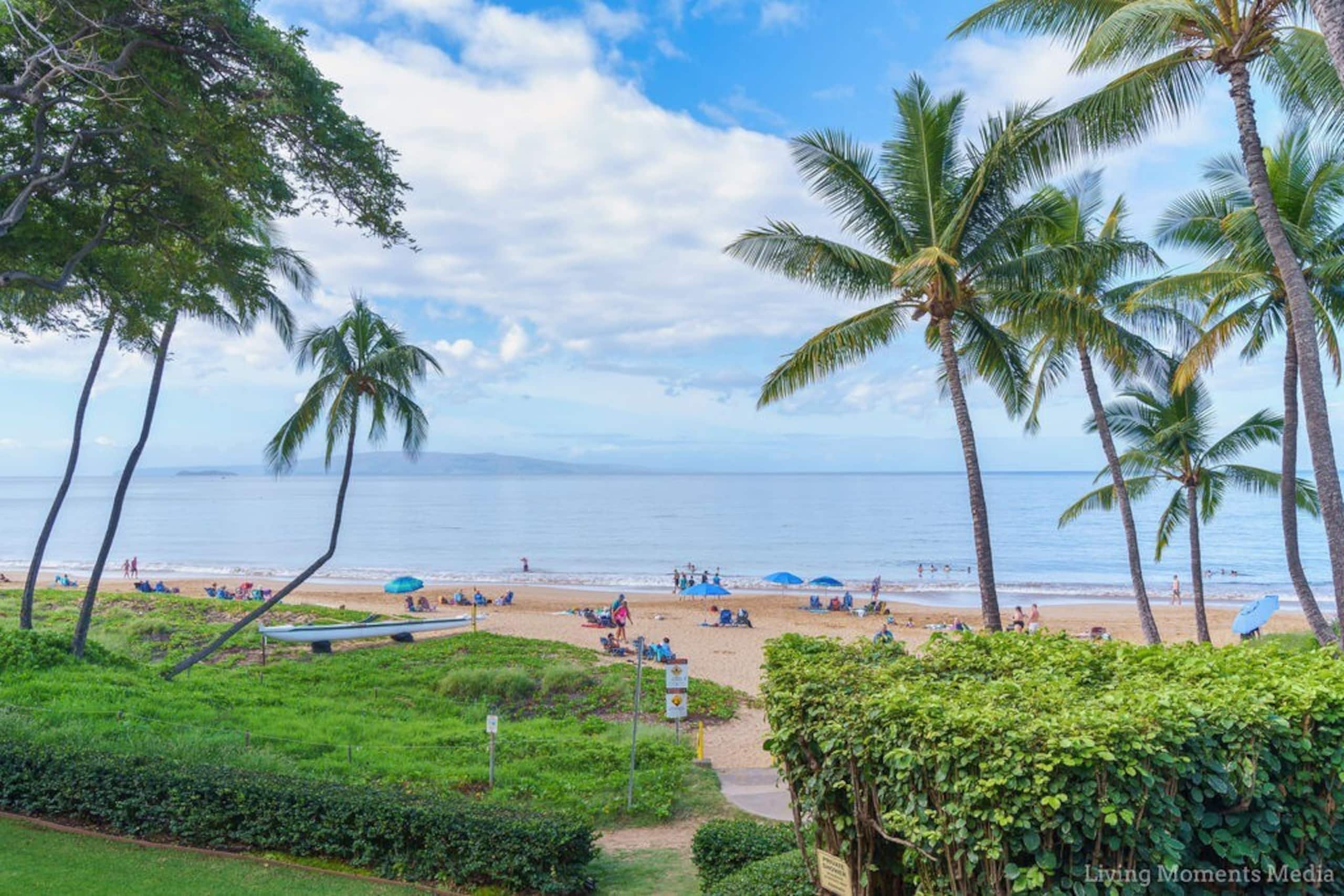 Condo in Kihei · ★4.93 · 2 bedrooms · 4 beds · 2 baths - Image 18