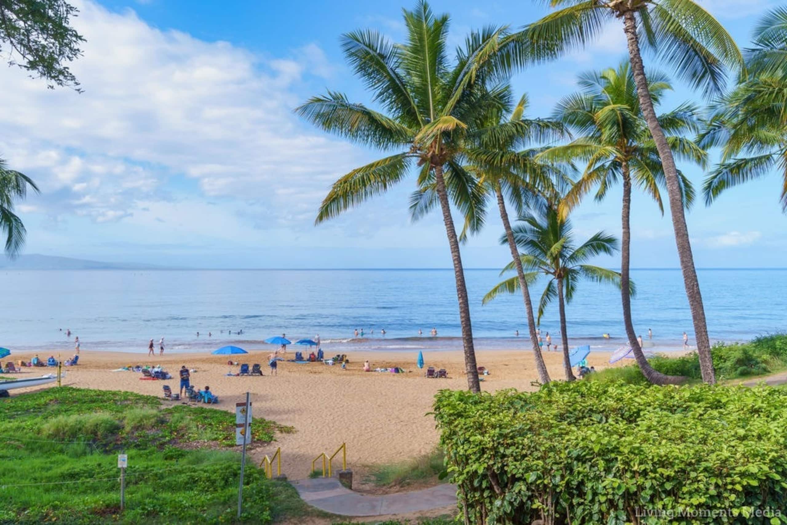 Condo in Kihei · ★4.93 · 2 bedrooms · 4 beds · 2 baths - Image 17
