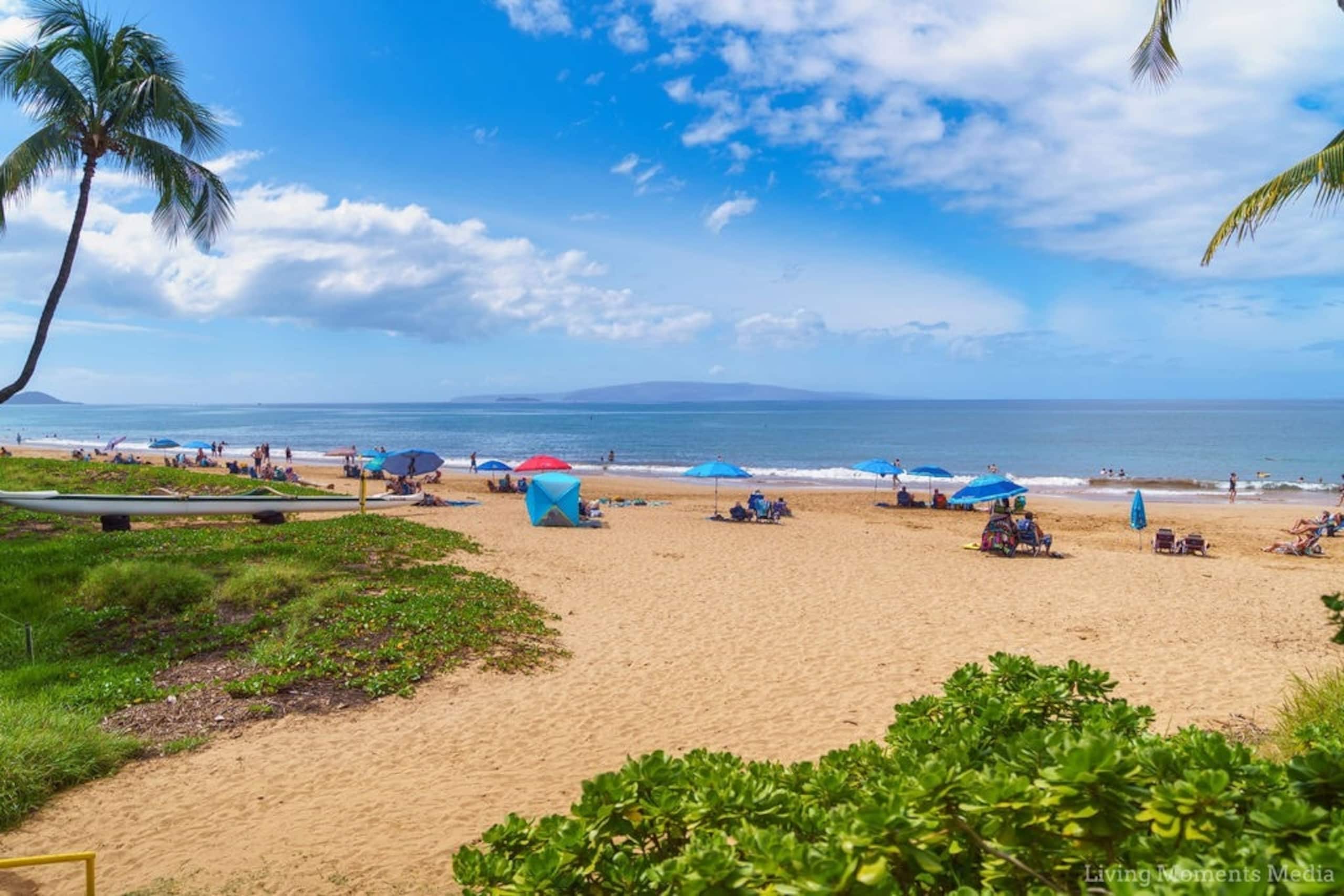 Condo in Kihei · ★4.93 · 2 bedrooms · 4 beds · 2 baths - Image 19