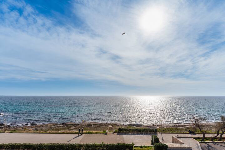 Suite Buena Vista gallery image 3