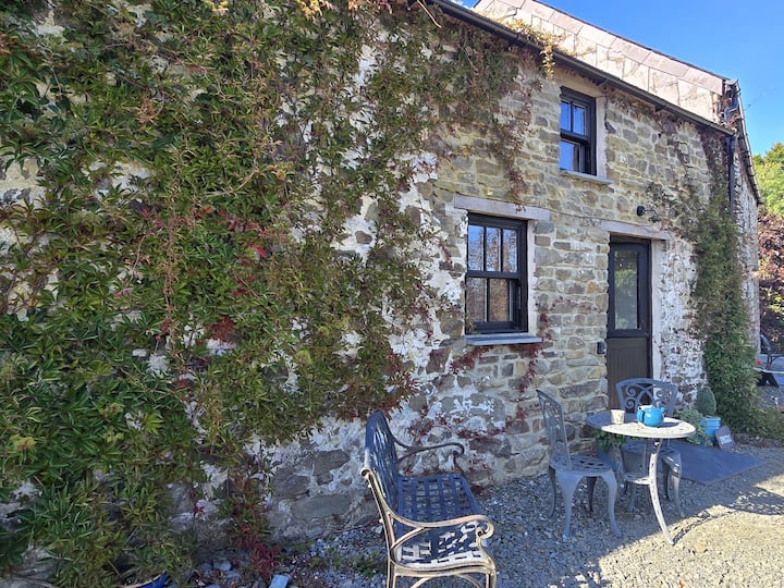 Snuggle, Private Hot Tub, Dog Friendly,no Children - Llangrannog