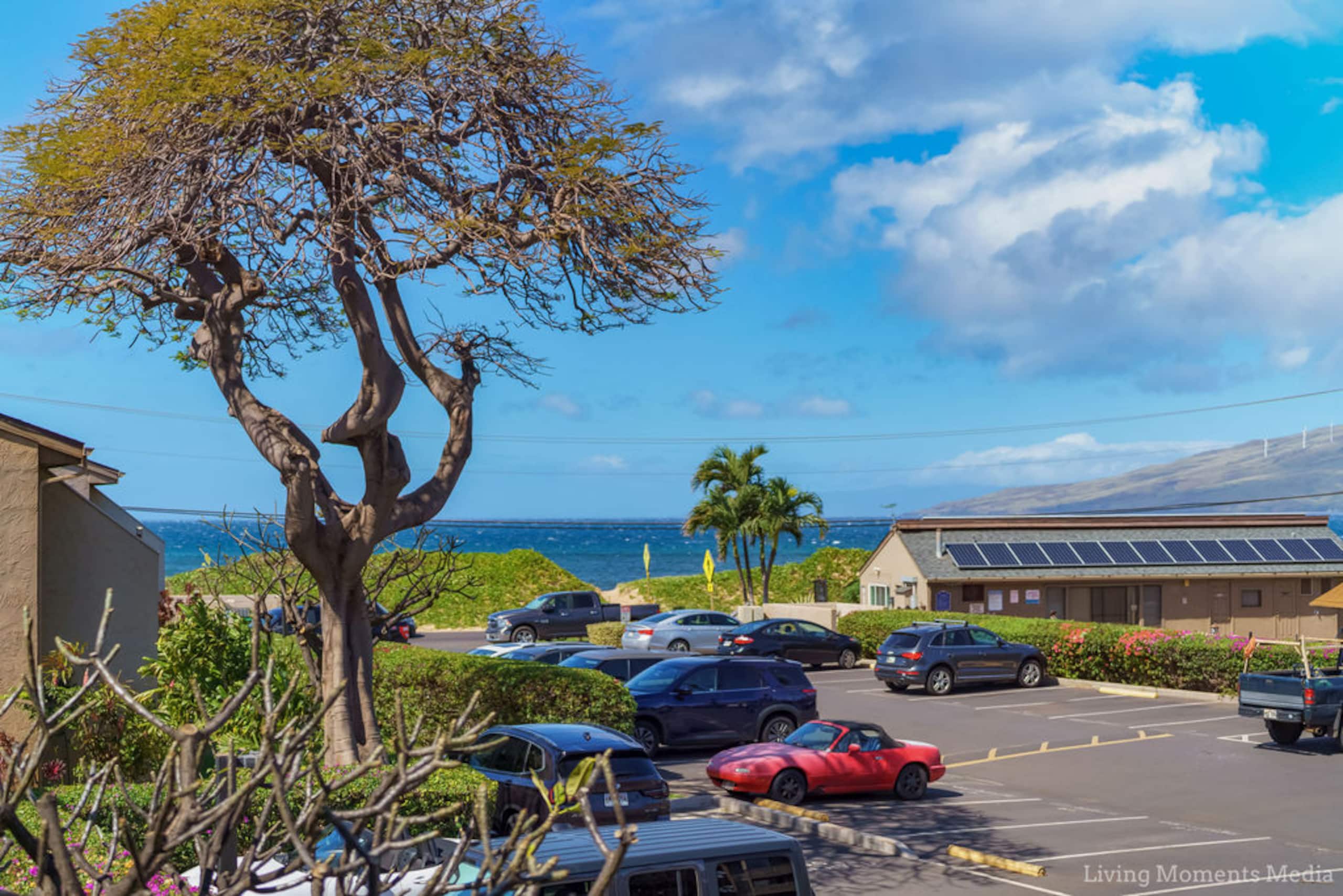 Condo in Kihei · ★4.76 · 2 bedrooms · 4 beds · 1 shared bath - Image 11