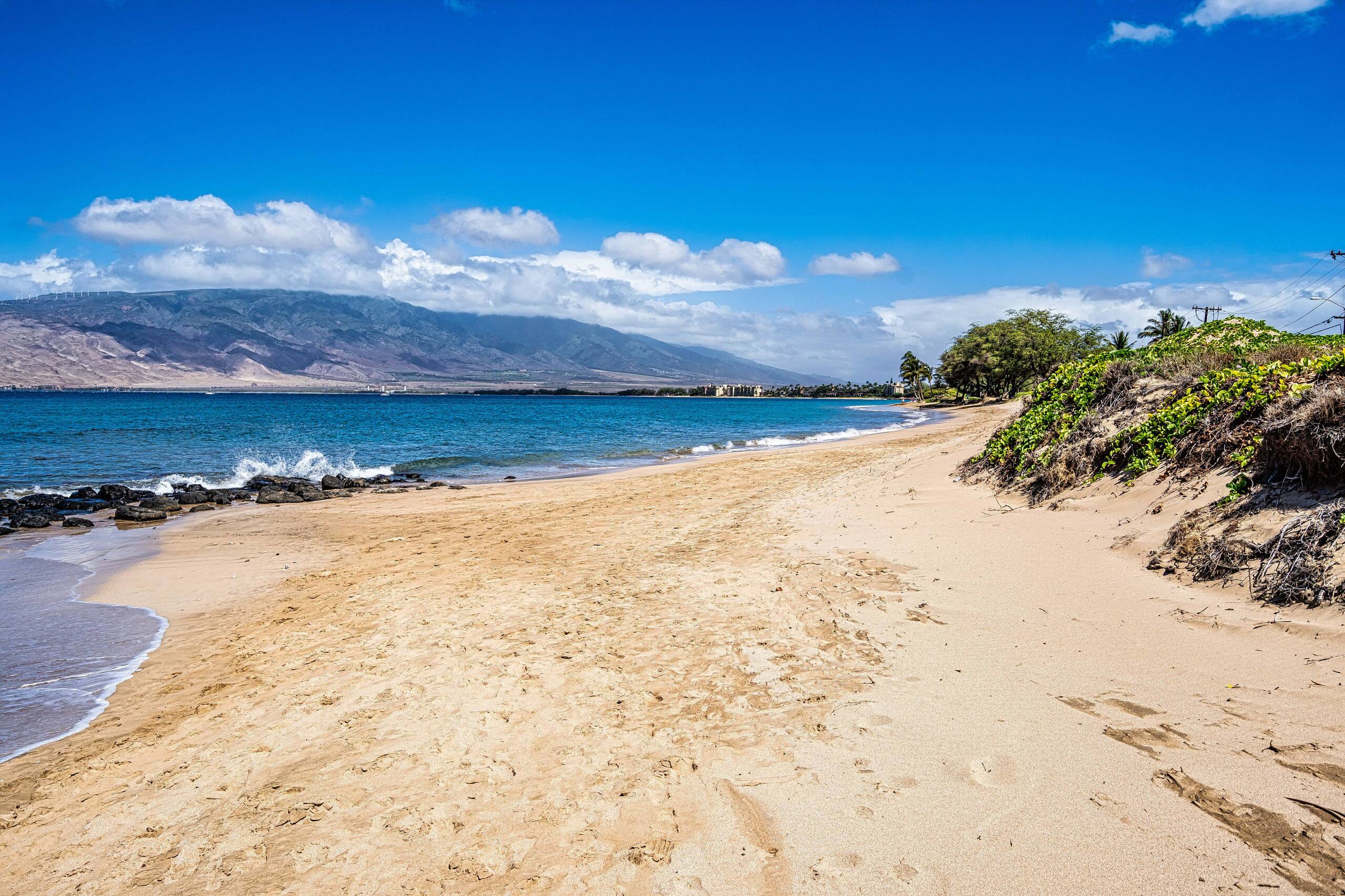 Condo in Kihei · ★4.76 · 2 bedrooms · 4 beds · 1 shared bath - Image 25
