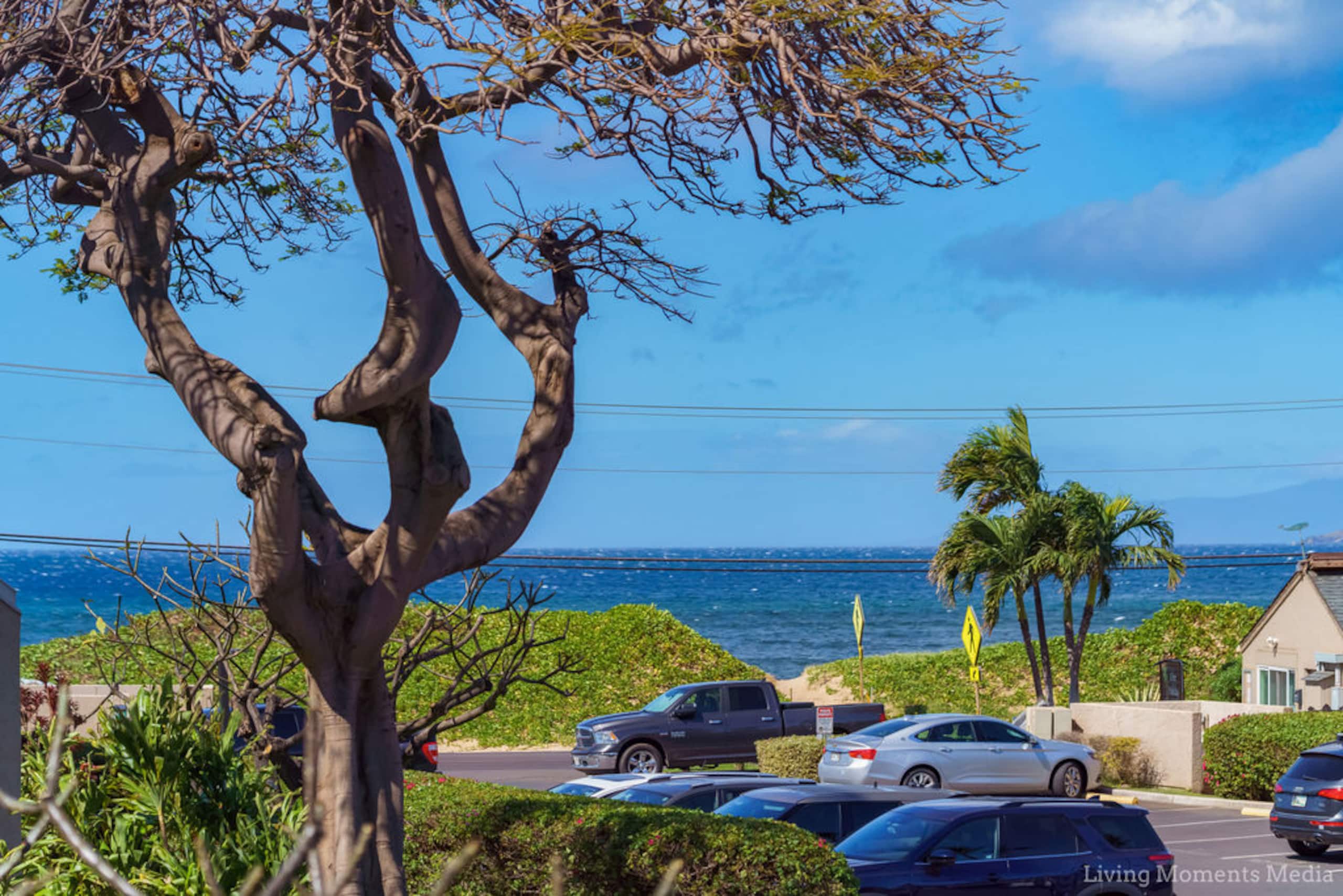 Condo in Kihei · ★4.76 · 2 bedrooms · 4 beds · 1 shared bath - Image 24