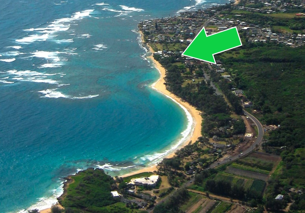 An aerial view captures the gentle curves of Oahu's North Shore coastline, showcasing vibrant blue waters and sandy beaches. Lush greenery and residential areas are visible along the shore, with a road meandering through the landscape, highlighting the area's natural beauty.