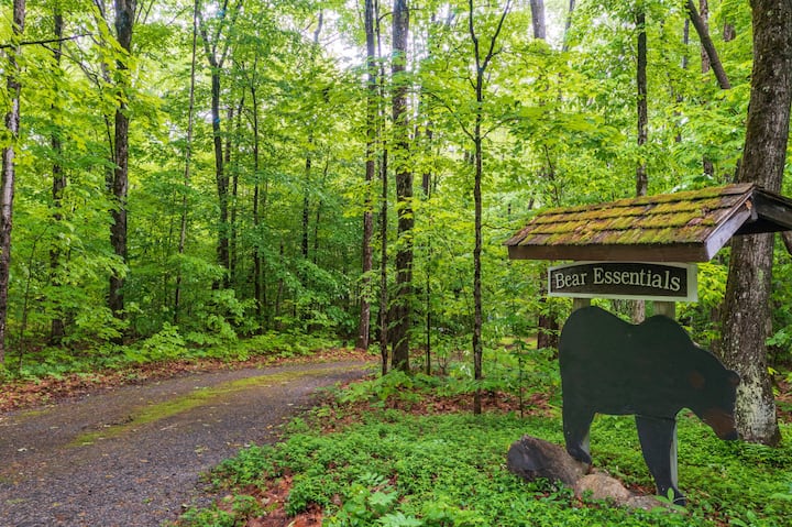 Bear Essentials Lakefront Hideaway! - Huntsville