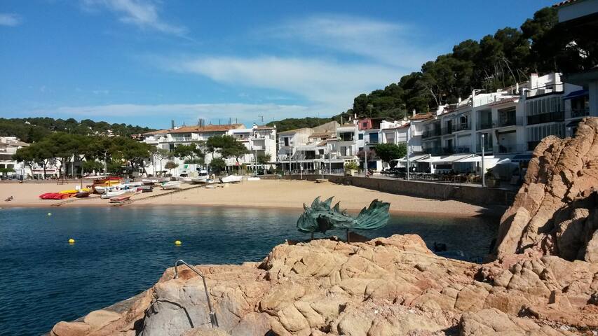 Apto Residencial en Tamariu gallery image 4