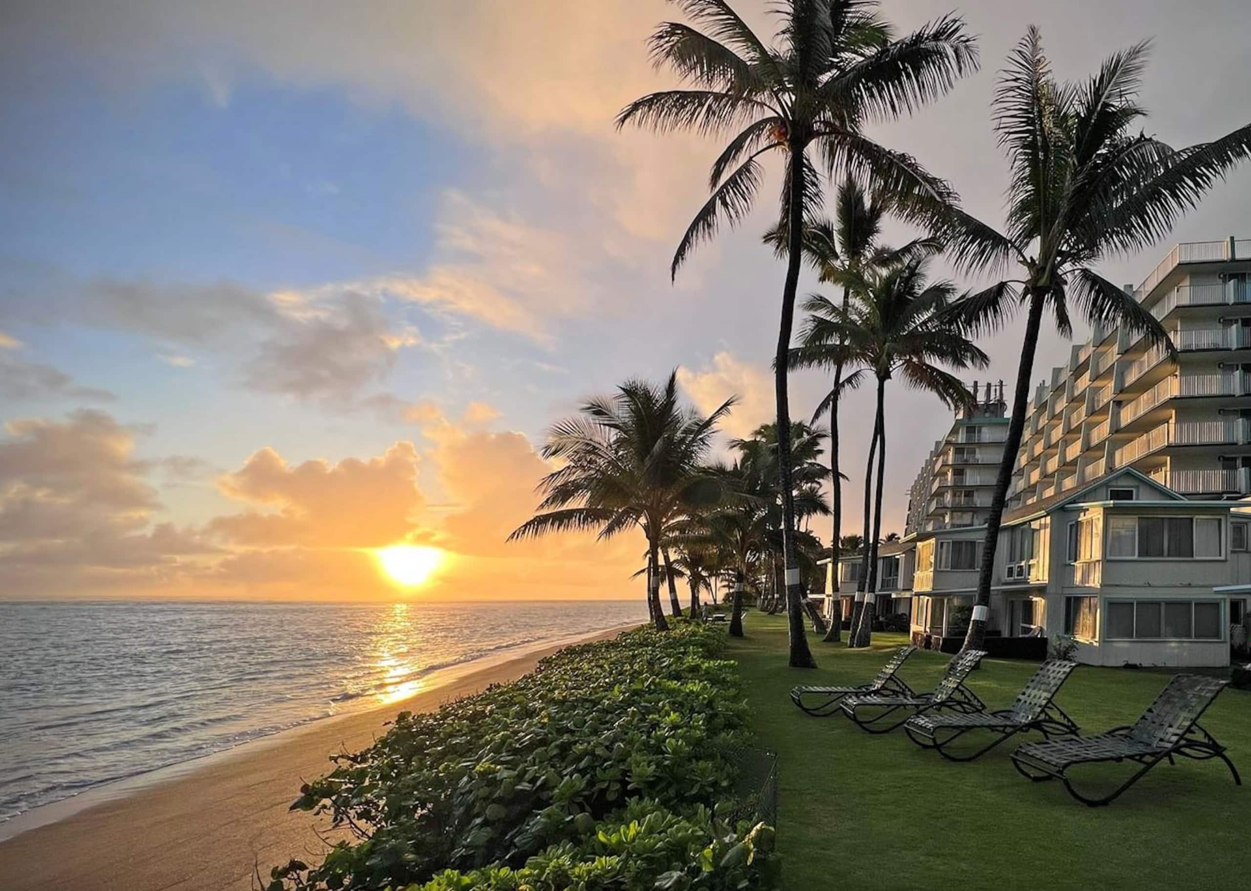 Condo in Hauula · ★4.67 · 1 bedroom · 4 beds · 1 private bath - Image 2