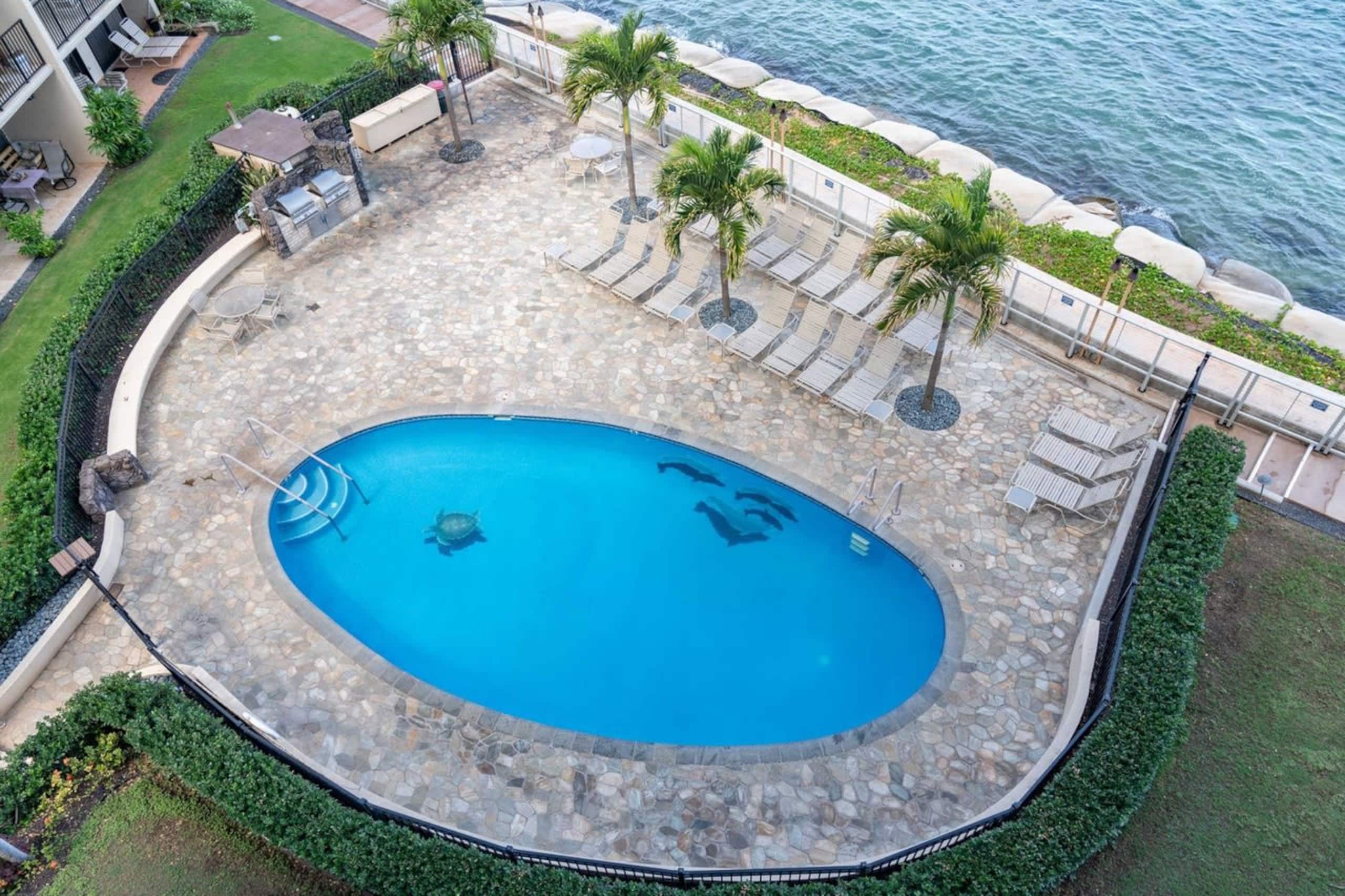 Sapphire - Heavenly Ocean View, Resort, & Pool! - Image 61