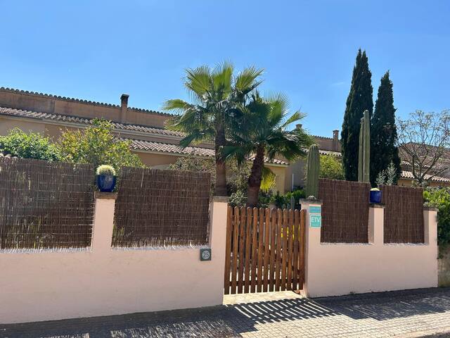 Can Om gallery image 5