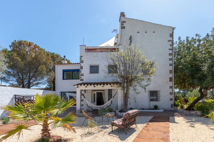 Mas Tinus – Lavanda gallery image 2