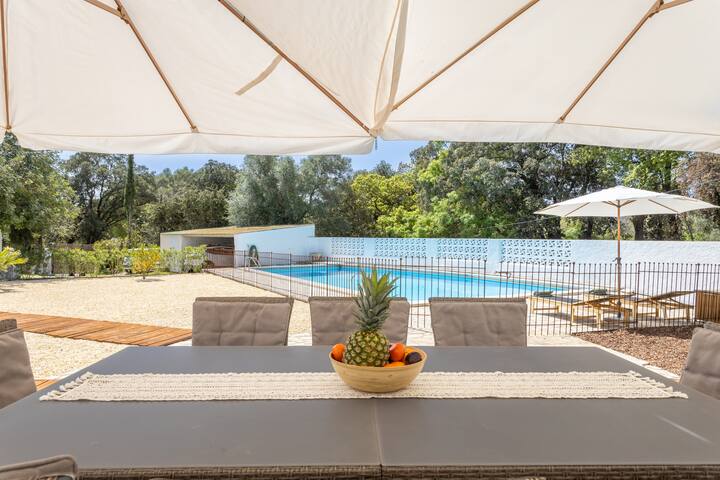 Mas Tinus – Lavanda gallery image 5