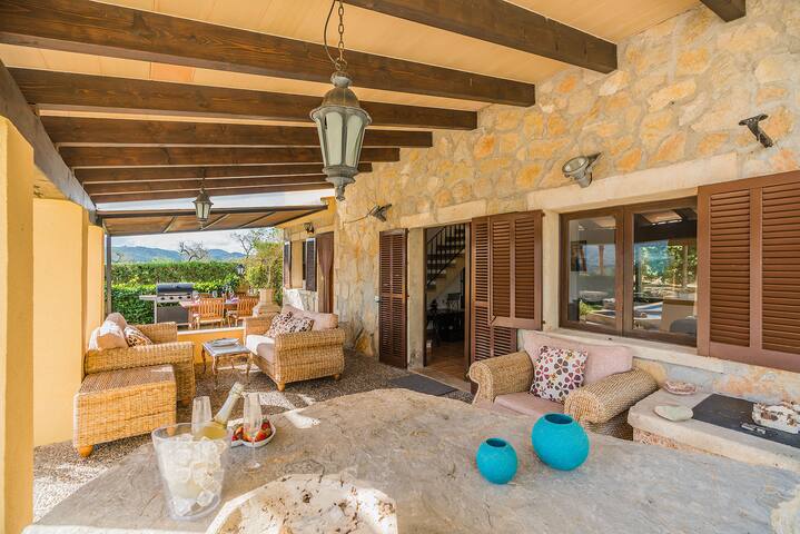 Enrique gallery image 3