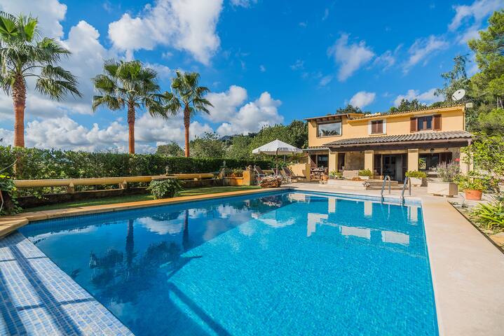 Enrique gallery image 5