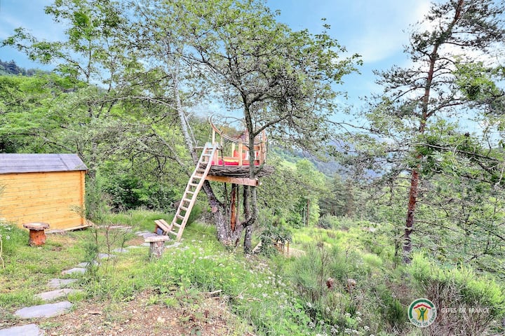 इमेज 1