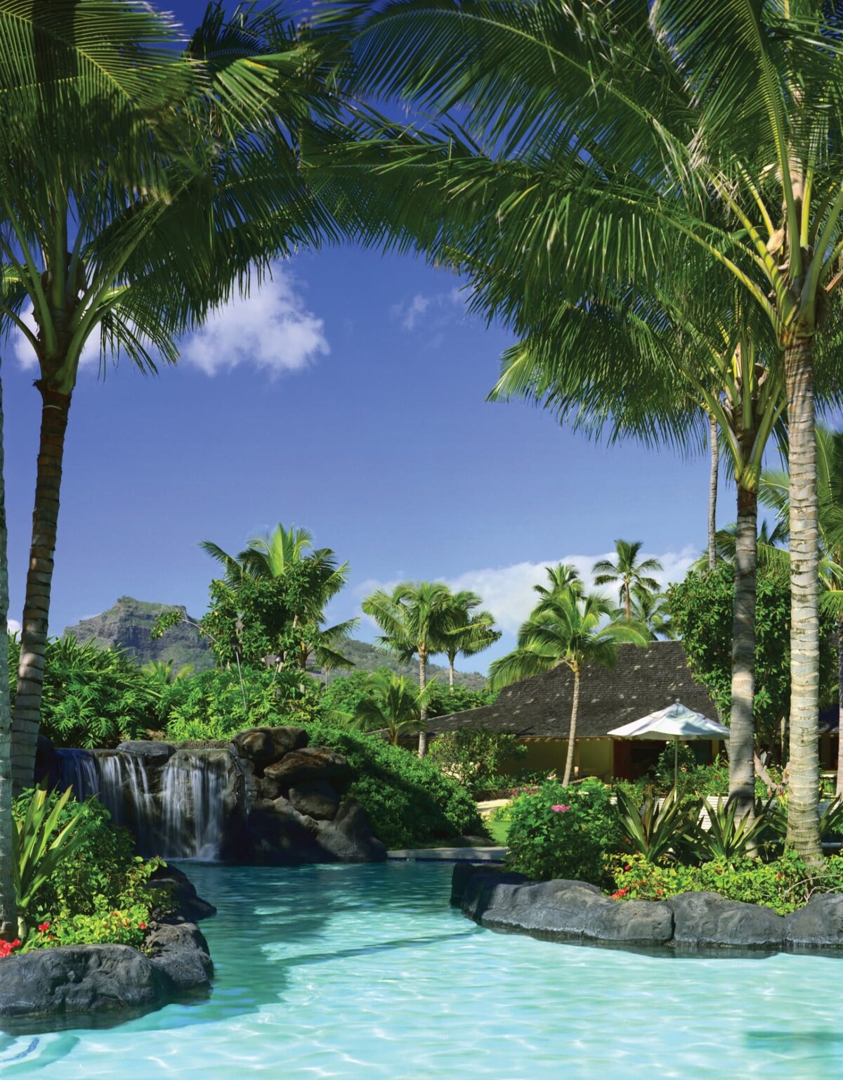 The image captures a serene resort landscape with a clear turquoise pool surrounded by lush greenery and palm trees. A small waterfall cascades over dark rocks, creating a tranquil atmosphere. A thatched-roof structure is visible in the background amidst vibrant tropical plants.
