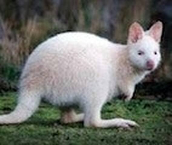 Family holiday haven or perfect spot with friends gallery image 2