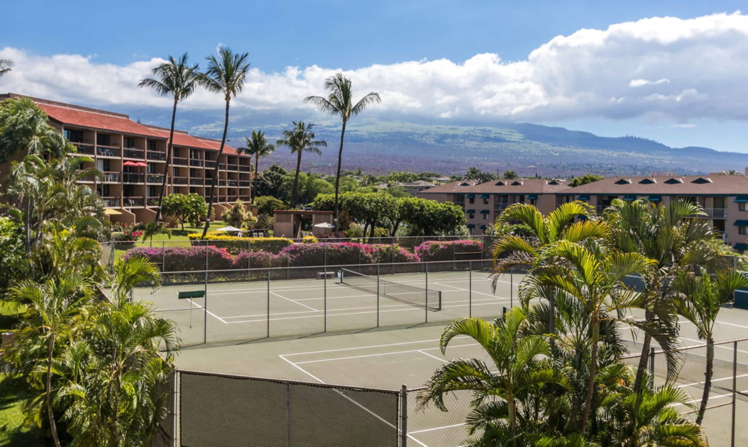 Condo in Kihei · ★4.83 · 1 bedroom · 2 beds · 1 bath - Image 23