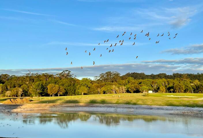 Sixty6 Acres Woombye luxury farmstay gallery image 3