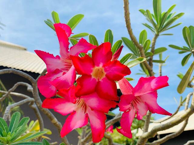 Private Resort Villa gallery image 2