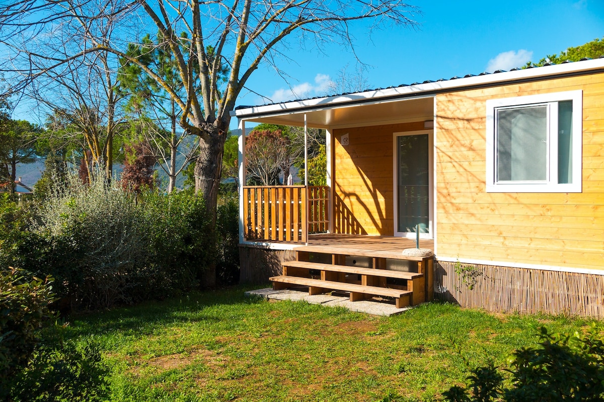 A wooden chalet features a welcoming porch with steps leading to the entrance. Framed by lush greenery, the exterior showcases large windows that allow natural light. The surrounding area includes well-kept grass and trees, enhancing the serene atmosphere.