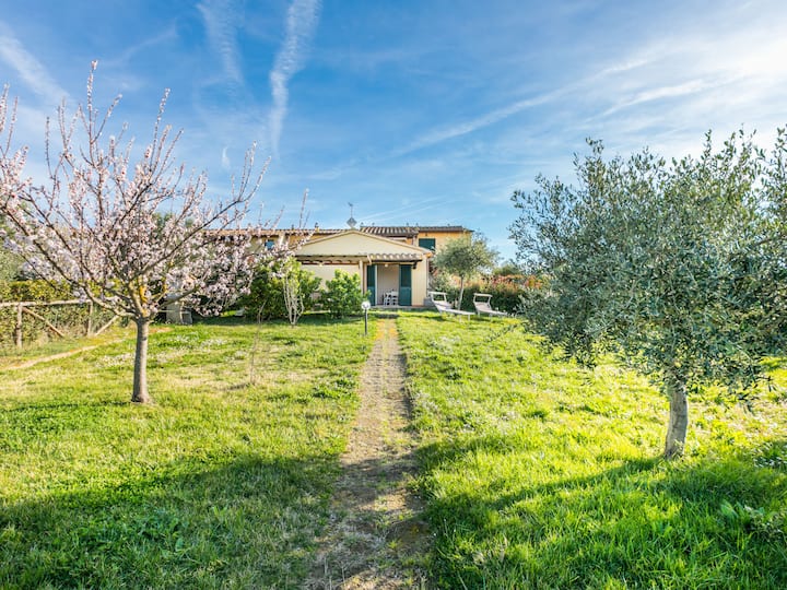 Lavender By Interhome - Rosignano Marittimo