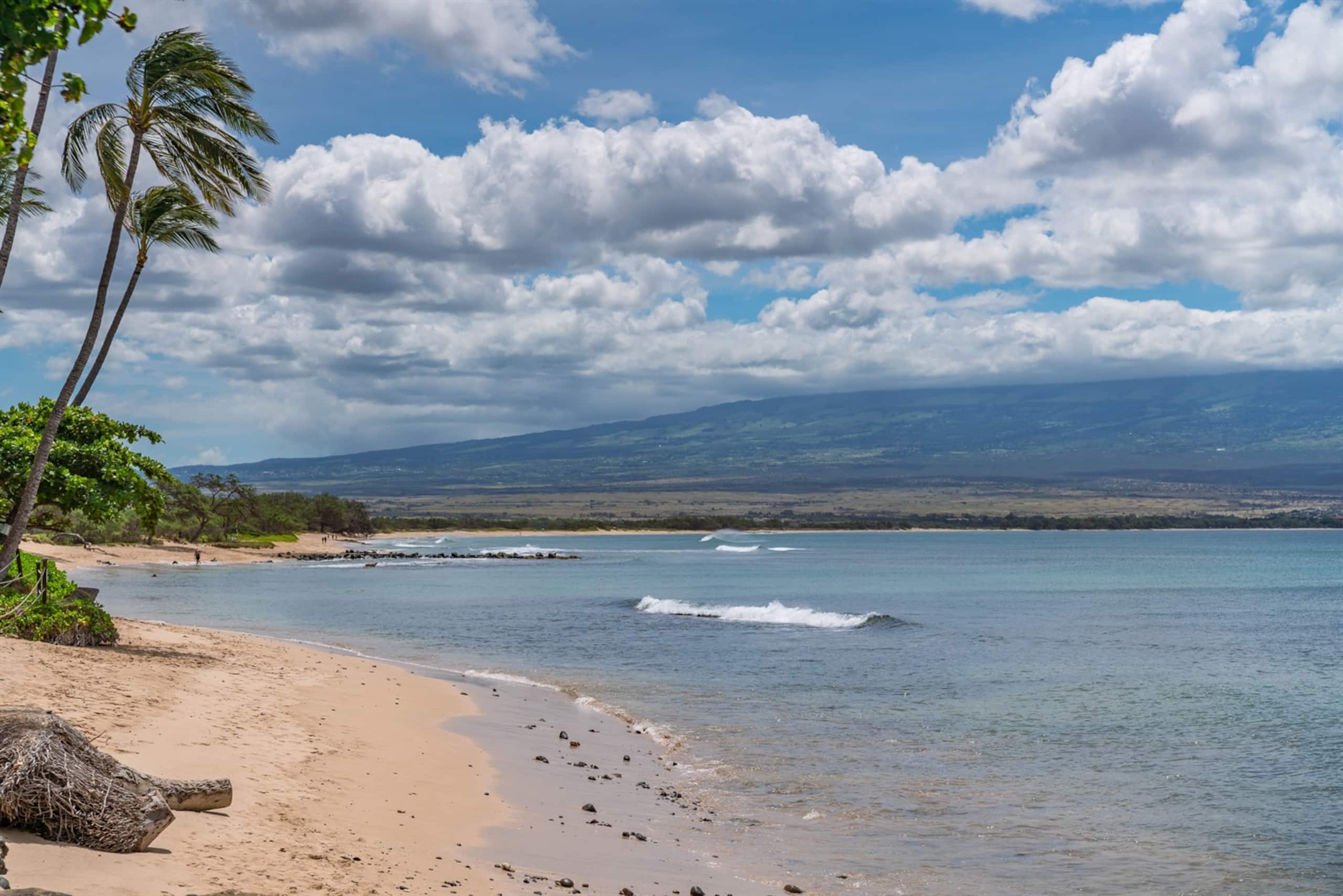 Condo in Wailuku · ★4.6 · 2 bedrooms · 4 beds · 2 baths - Image 21