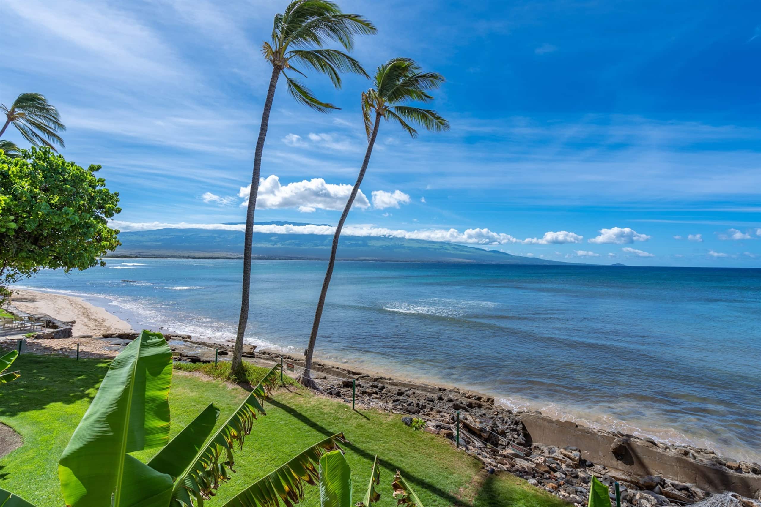 Condo in Wailuku · ★4.6 · 2 bedrooms · 4 beds · 2 baths - Image 19