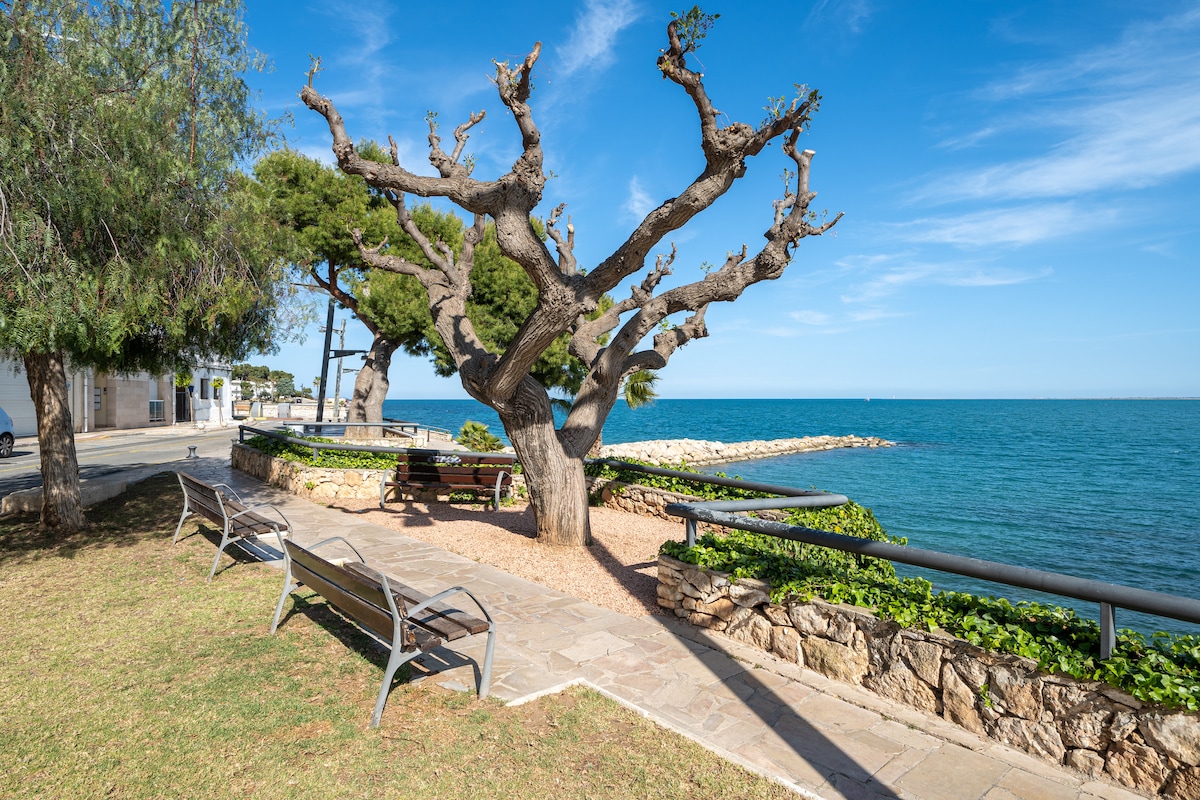 A scenic waterfront area features a paved pathway lined with benches. A large, twisted tree provides shade nearby, while the clear blue water extends into the horizon. The surrounding greenery complements the tranquil coastal setting, capturing the essence of a relaxing outdoor space.
