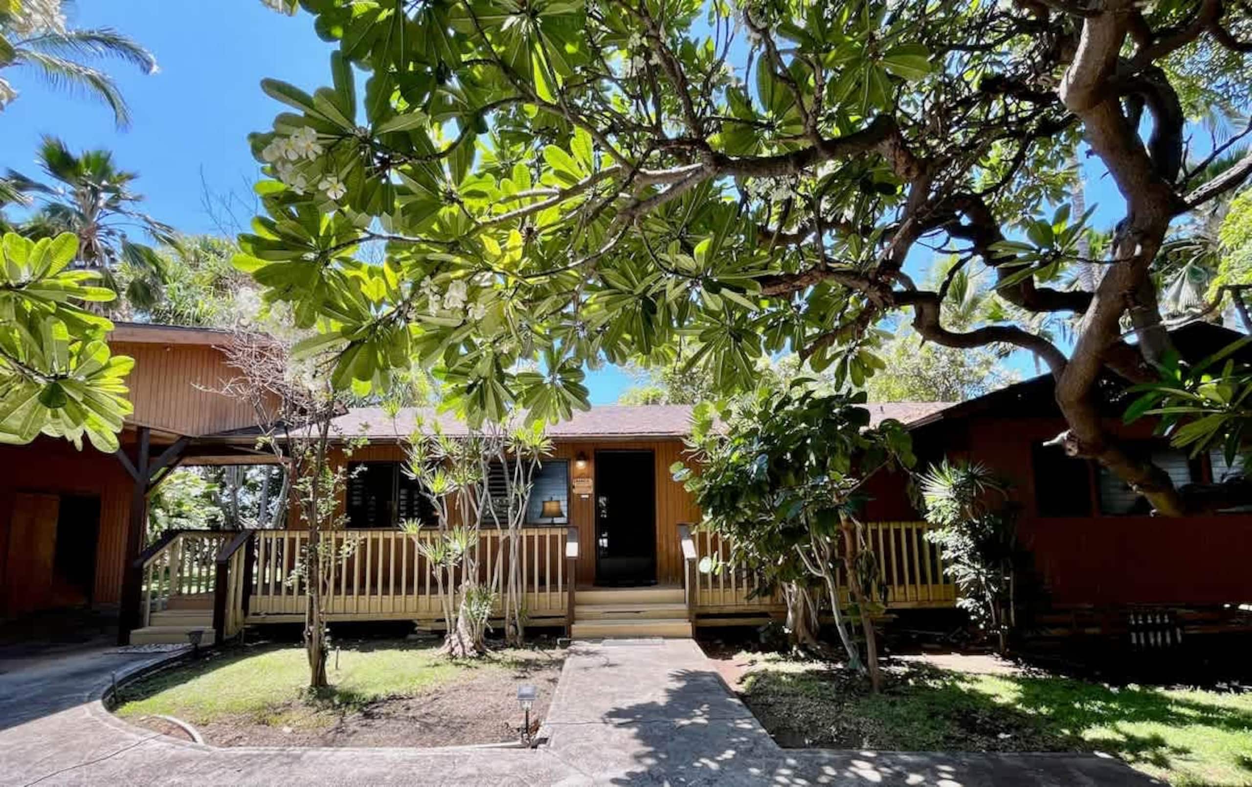 Home in Waimea · ★4.62 · 2 bedrooms · 4 beds · 2 baths - Image 6