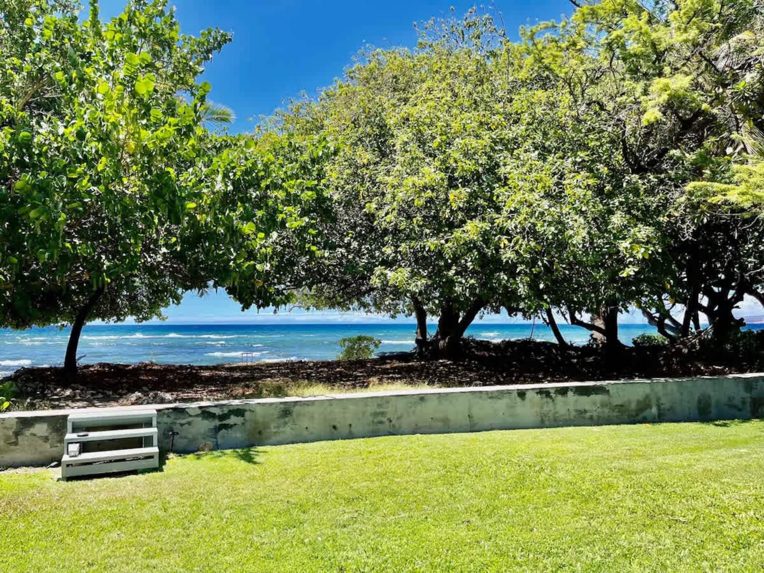 Home in Waimea · ★4.62 · 2 bedrooms · 4 beds · 2 baths - Image 16