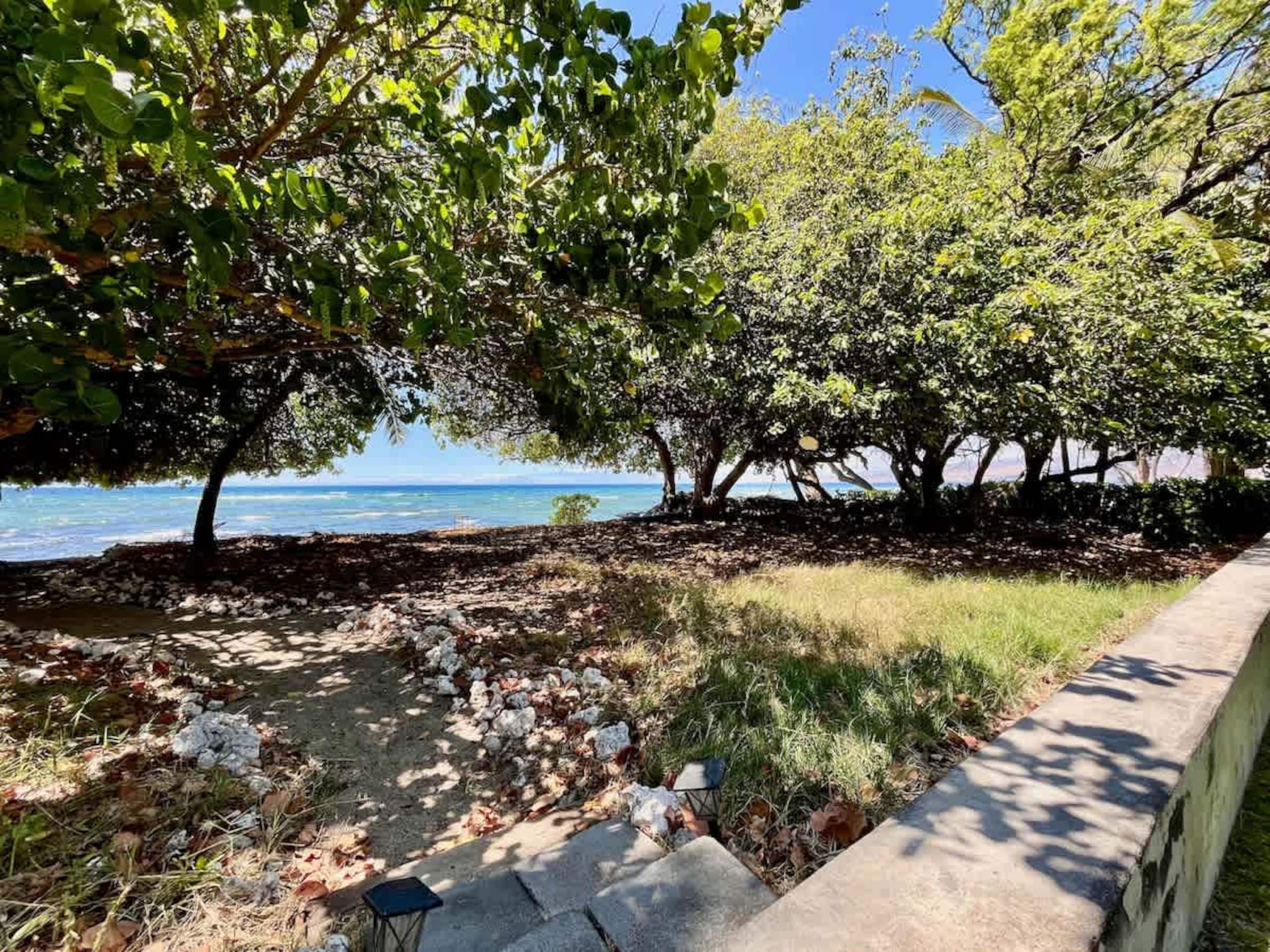 Home in Waimea · ★4.62 · 2 bedrooms · 4 beds · 2 baths - Image 17