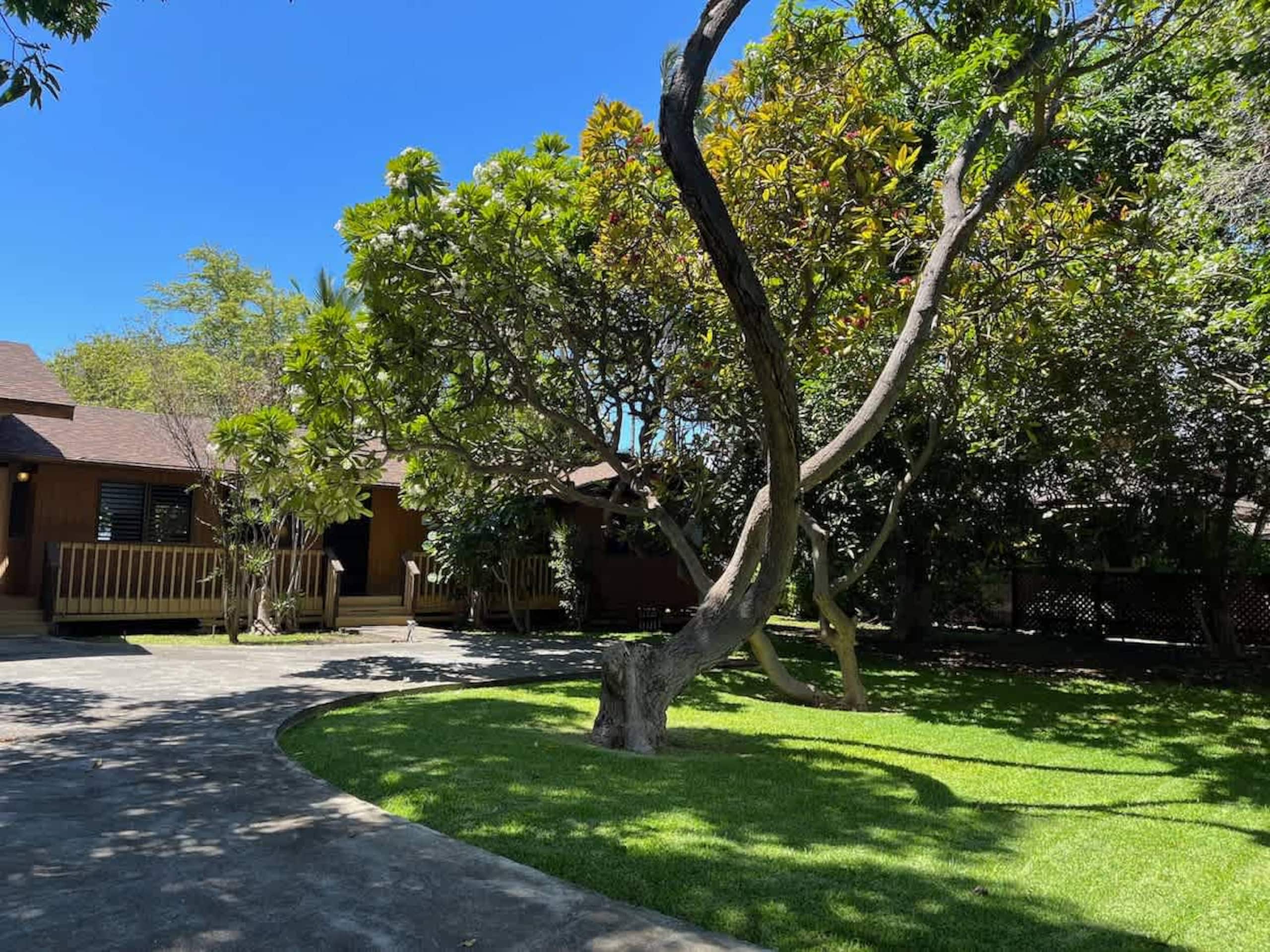 Home in Waimea · ★4.62 · 2 bedrooms · 4 beds · 2 baths - Image 4
