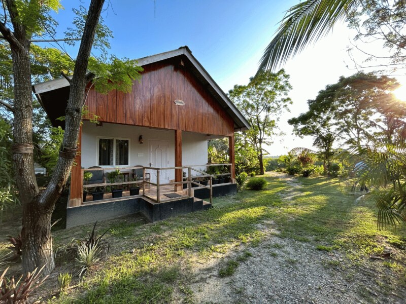 The cottage features a wooden exterior complemented by a covered porch. A gravel pathway leads to the entrance, flanked by greenery and plants. Sunlight filters through nearby trees, casting gentle shadows across the well-kept lawn.