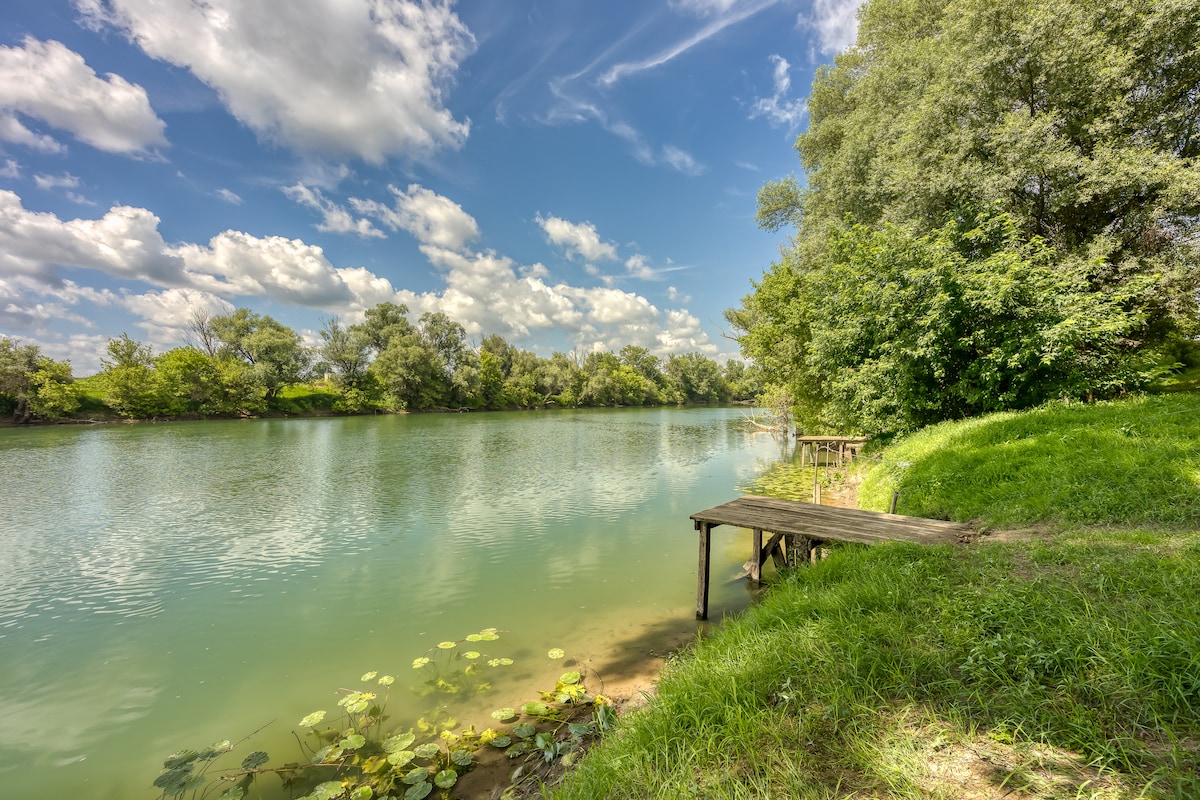 A peaceful riverside scene showcases a calm body of water bordered by lush greenery. A wooden dock extends into the river, creating a serene spot for relaxation, while clouds gently drift across a bright blue sky.