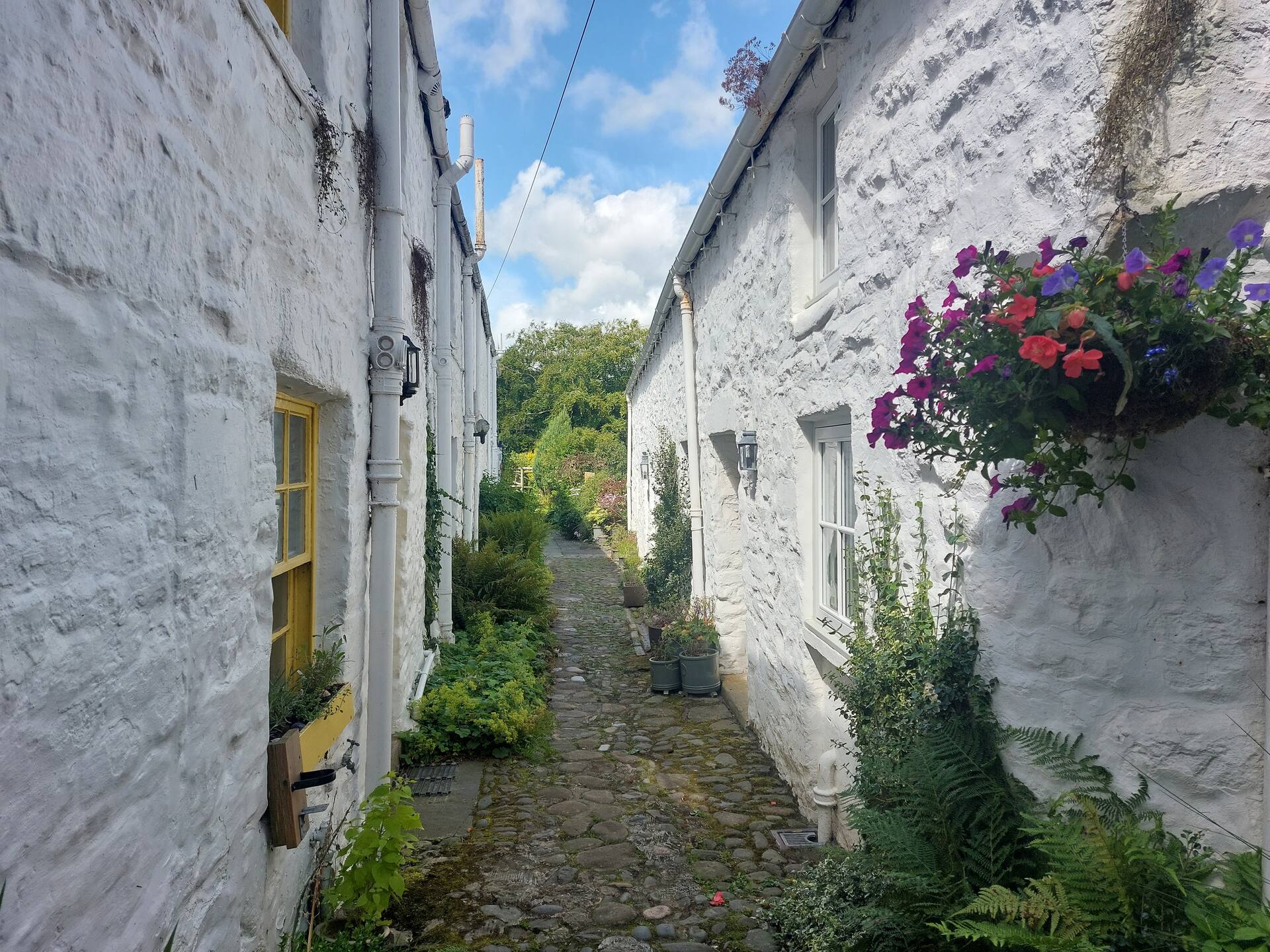 Blue Door - Kirkcudbright — photo 4