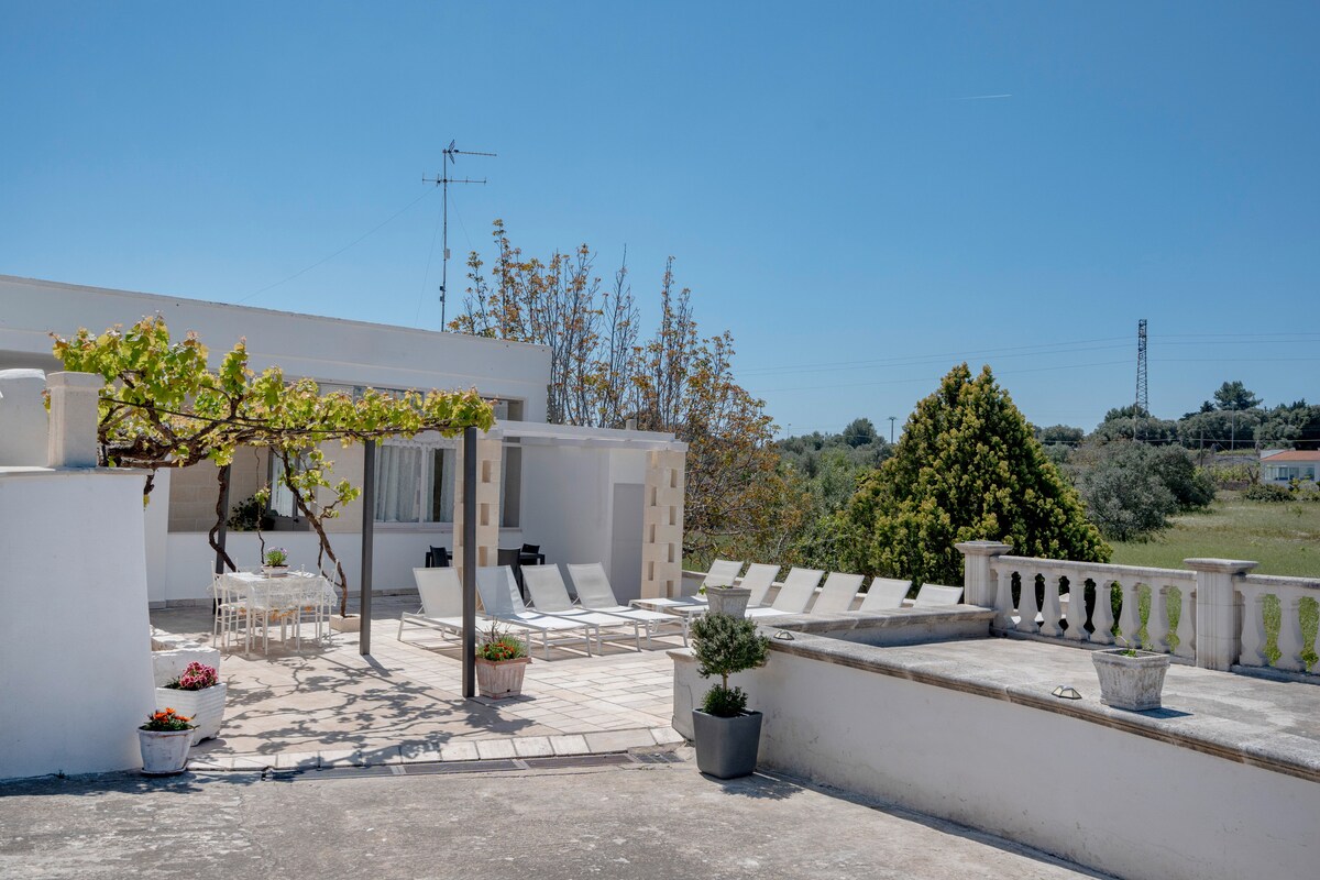An outdoor terrace is shown, featuring multiple sun loungers arranged under a clear blue sky. A shaded dining area with a table is also visible. Lush greenery surrounds the space, and potted plants are placed strategically throughout. The environment conveys a serene and spacious atmosphere.