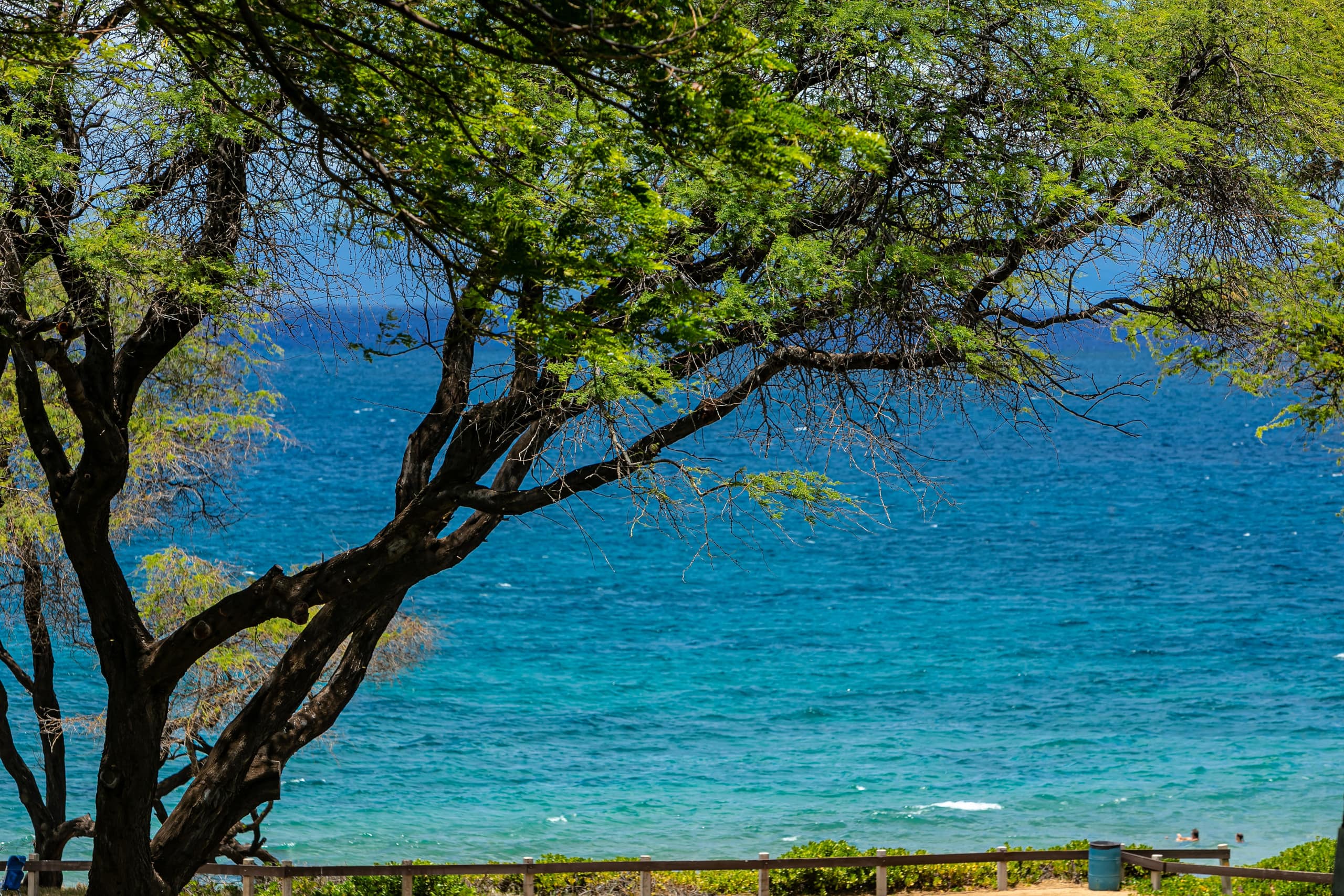 Condo in Kihei · ★4.82 · 1 bedroom · 2 beds · 2 baths - Image 36