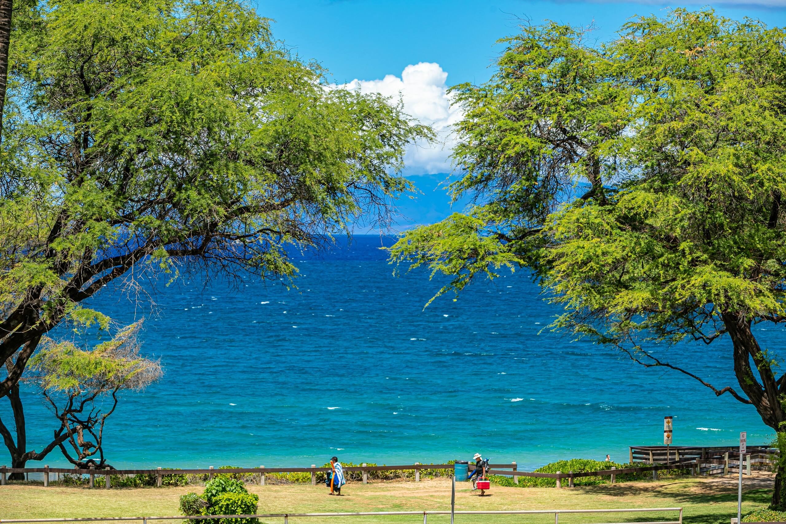 Condo in Kihei · ★4.82 · 1 bedroom · 2 beds · 2 baths - Image 35