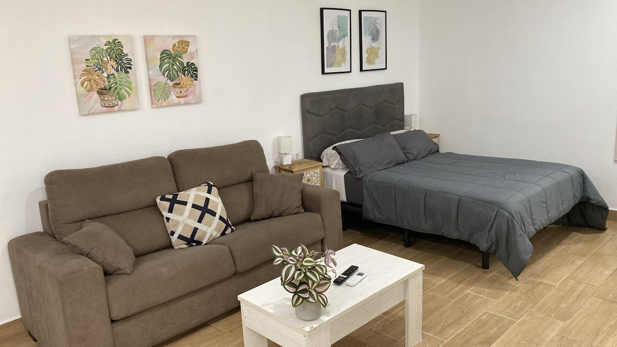 A modern studio features a spacious bed with a gray comforter and a cozy sofa positioned nearby. Two pieces of wall art with plant motifs adorn the wall above the bed. A small table sits at the center, complemented by a decorative plant.