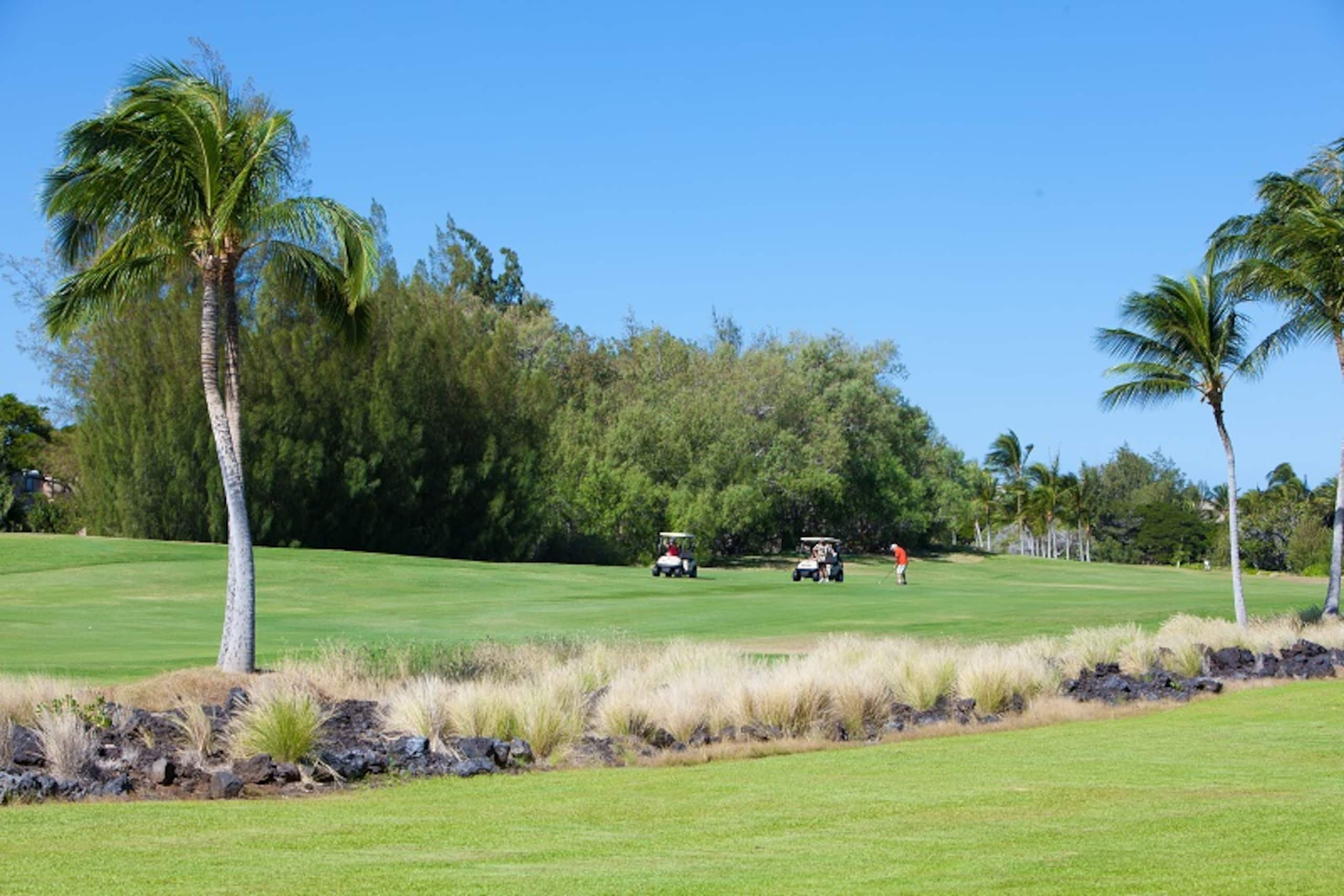 Townhouse in Waikoloa Beach Resort · ★4.84 · 3 bedrooms · 4 beds · 2.5 shared baths - Image 29
