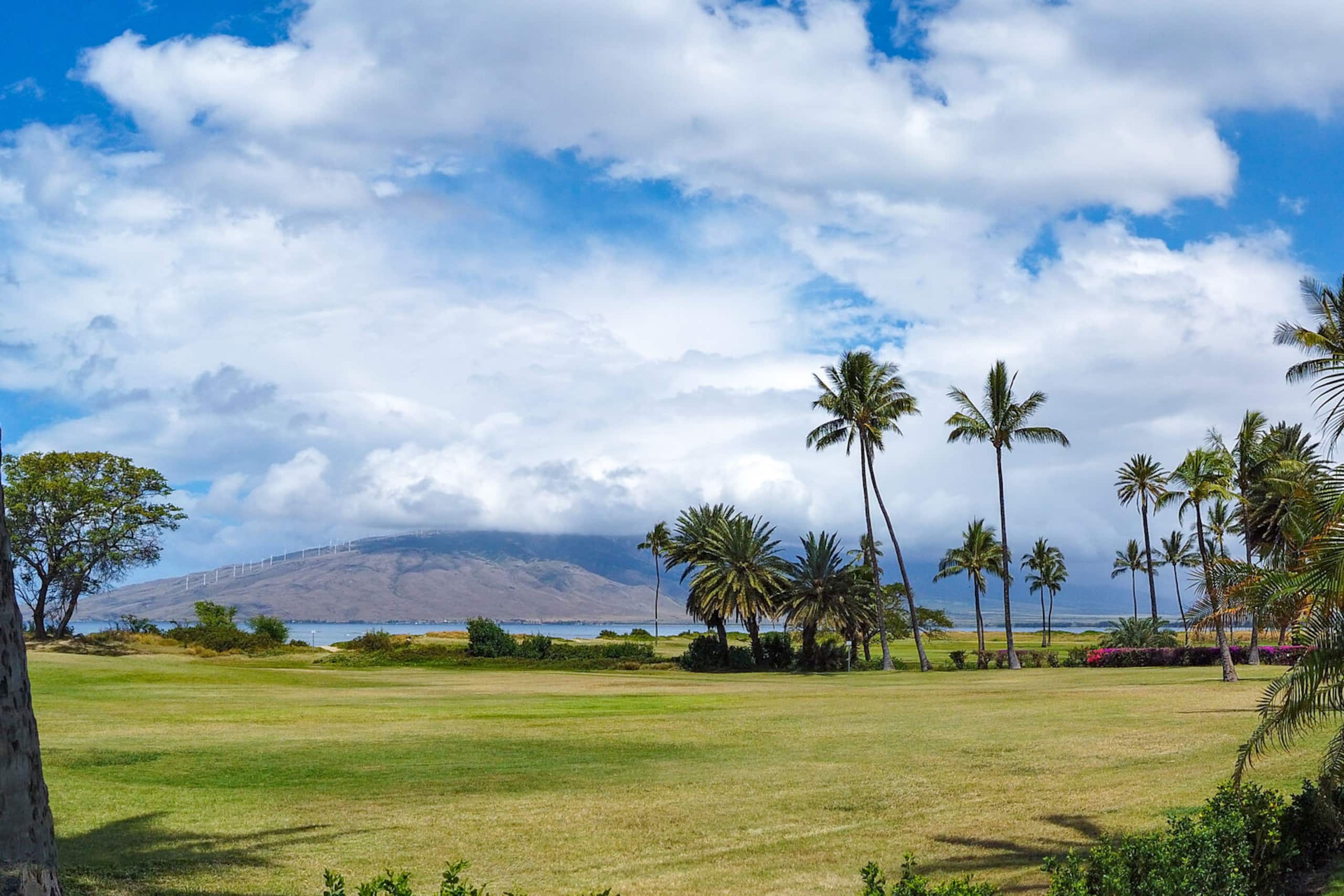Condo in Kihei · ★4.78 · 2 bedrooms · 4 beds · 2 baths - Image 30
